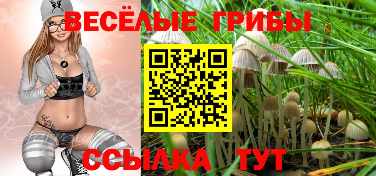 Дальнереченск  Галлюциногенные грибы прущие грибы  Вход с VPN 